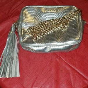 Formal Silver zippered purse - Gold Chain strap